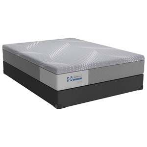 Queen 12" Medium Hybrid Low Profile Set