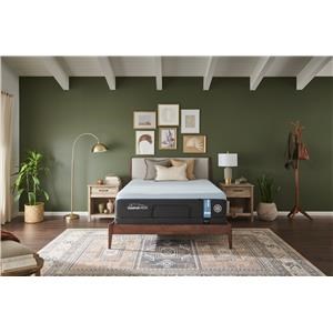 Tempur-Pedic Queen Plush Mattress
