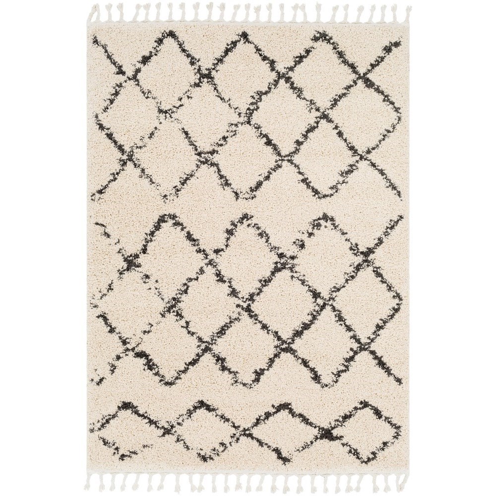 2' x 3' Rug