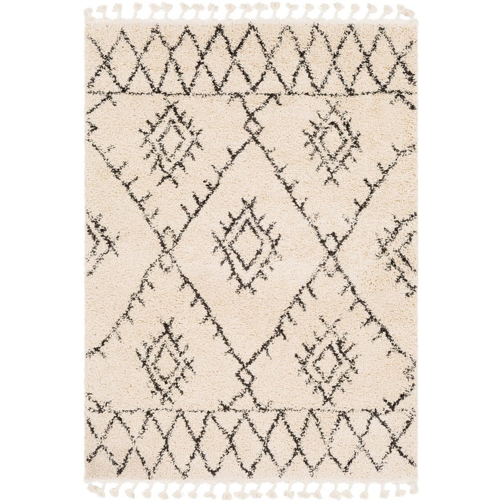 2' x 3' Rug