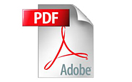 pdf icon
